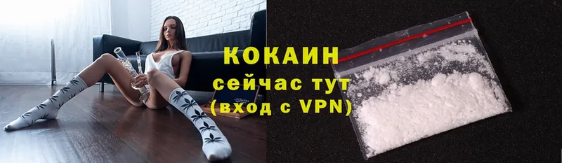 МЕГА ONION  Богородск  Cocaine VHQ 