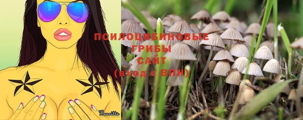 PSILOCYBIN Белоозёрский